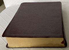 LIKE NEW***THOMPSON CHAIN-REFERENCE BIBLE***NIV***GENUINE LEATHER