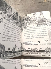 Dinosaurs by Herbert S. Zim Illus. by James Gordon Irving c.1976 Library Edition