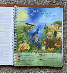 Rose Book of Bible Charts, Maps & Timelines 10th Anniversary Expanded Edition VG