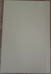 Book of Judas~Linda Stasi~381 pages~2017~1st Edition~H/C~D/J~Very Good Condition