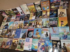 Lot of 15 Newbery Honor Award Winning Chapter Children Kid Books AR *RANDOM MIX