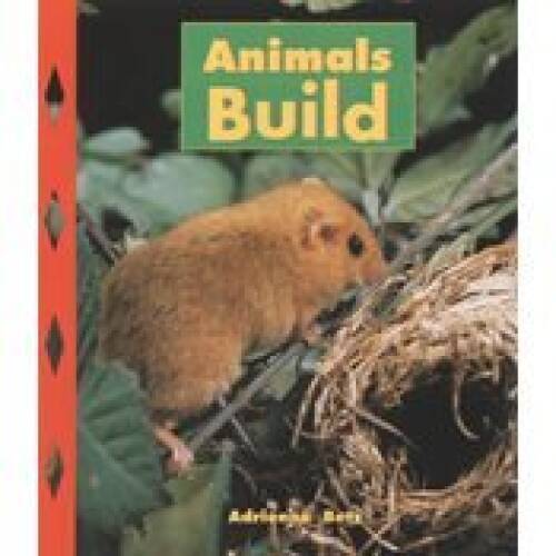Animals Build – Paperback By Betz, Adrienne – VERY GOOD