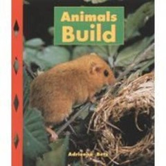 Animals Build – Paperback By Betz, Adrienne – VERY GOOD