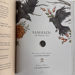 The Wheel of the Year: An Illustrated Guide to Nature’s Rhythms HC