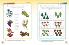 Грамотейка. Интеллектуальное развитие детей 5-6 лет Земцова
