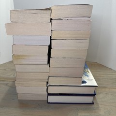 Mixed Lot 21 Christine Feehan Books Novels Carpathian Drake Sea Haven Shadow Rid