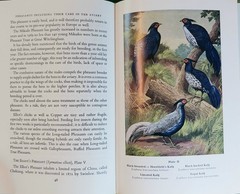 Pheasants Including Their Care In The Aviary by HA Gerrits 1974 Beautiful Illust