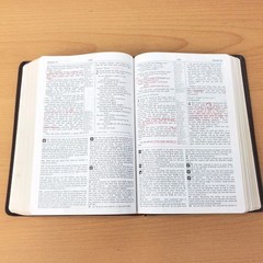 Zondervan The NIV Study Bible 10th Anniversary Edition 1995 Red Letter, Leather