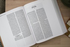 Amplified Holy Bible, Anne Neilson Angel Art Series, Leathersoft, Blush