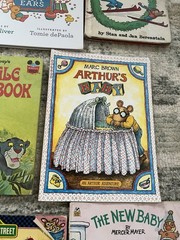 Children’s Picture Book Lot