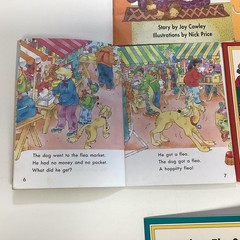 Sunshine Reader 1st Grade 12 Book Lot Level D-I Rigby Wright