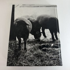 Branded Youth and Other Stories by Bruce Weber Hardcover Singed Autographed