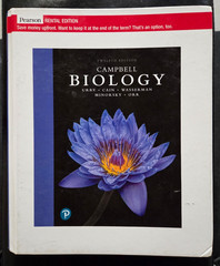 Campbell Biology by Michael L. Cain, Jane B. Reece, Lisa Urry (RENTAL EDITION)