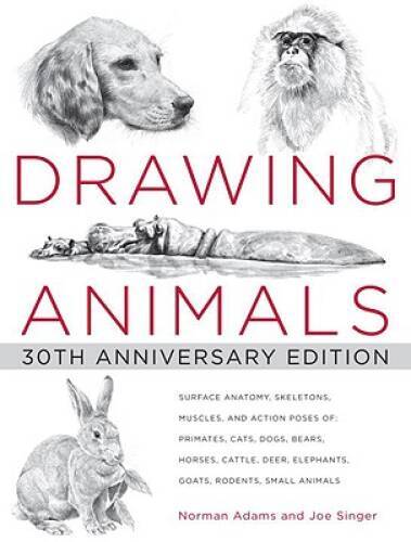 Drawing Animals: 30th Anniversary Edition – Paperback By Adams, Norman – GOOD