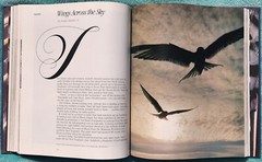 The Wonder of Birds Robert M. Poole 1983 Hardcover 280 Pages Of Amazing Birds