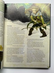 D&D 2014 Player’s Handbook (Dungeons & Dragons Core Rulebook)