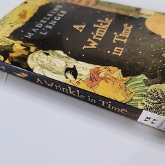 Madaleine L’Engle ~ A Wrinkle In Time ~ 2007, 1st Square Fish Edition, Paperback