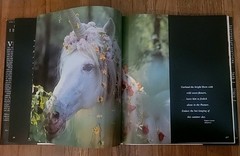 Unicorns I Have Known by Robert Vavra 1983