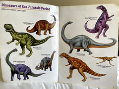 Amazing Dinosaurs (Giant Step Picture Library)