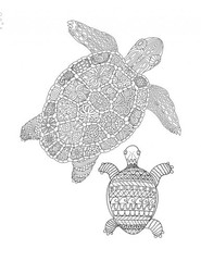 Best the Turtles Save the Planet Series 108 Pages 8.5 x 11 for All Ages