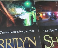 Sherrilyn Kenyon Dark Hunter League + Lot of 15 Mixed Titles