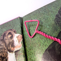 Vintage English Springer Spaniels Diane McCarty T.F.H. Purple HC Dog Care 1983