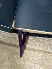 ✝️ The Ryrie Study Bible NASB New American Standard Genuine Leather Moody Press