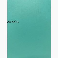 Tiffany Wonder Exhibition Official Book 13.8 in Tiffany Wonder Tokyo April 2024