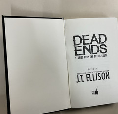 Dead Ends 12 Stories from the Gothic South J T Ellison HC 2017 Anthology