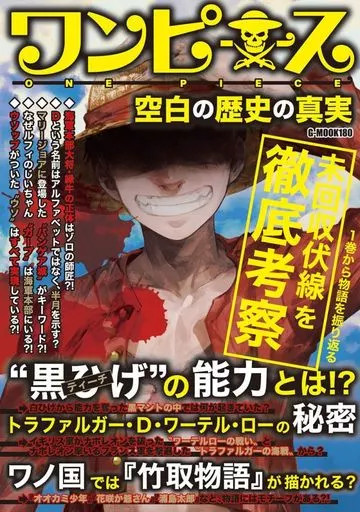 One Piece Anime Mook History Book 228 Pages Manga Art