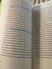 The Unknown Masterpiece Honoré de Balzac PB Some Highlighted Pages