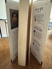 벚꽃도 사쿠라도 봄이면 핀다 (Both Cherry Blossoms & Sakura Bloom in Spring) Paperback Korea