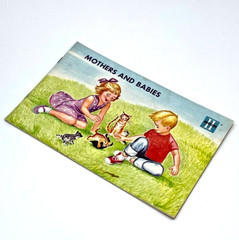 Mothers and Babies Nursery Picture Book Paperback 1965 Graded Press 24 pages-A3