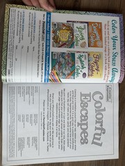 COLORFUL ESCAPES – The Colors of Summer! Vol. 25 – Adult Coloring Book- 31 Pages