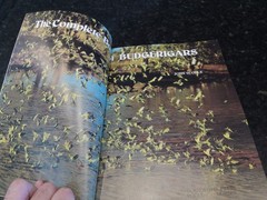 Complete Book of Budgerigars by John Scoble (1987, Trade Paperback)