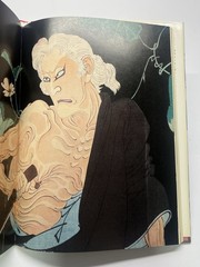 Yoshitoshi: The Splendid Decadent – 1985 Art Book Hardcover