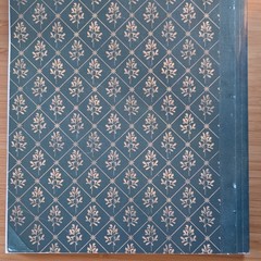The Lost Book of Remedies Hardcover by Claude Davis Remedies Health Nonfiction