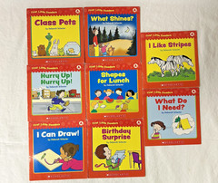 Lot Of 42 First Little Readers, Little Leveled Readers and Bob Books Pre-School+