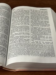 Amplified Bible by Zondervan (1987, HC, Large Type / large print edition)