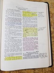 RARE 1999 USA NASB Bible Wide Margin Unknown Leather Opaque Paper USED L@@K🌟