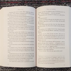 Allen Levi Theo of Golden: A Novel Paperback