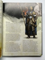 D&D 2014 Player’s Handbook (Dungeons & Dragons Core Rulebook)