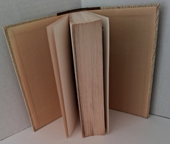 „The Works of Josephus” (Vol. 2 Baker Book House HC Vintage Edition 1979)