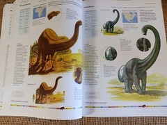 dinosaurs and other prehistoric animals by amber