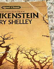 FRANKENSTEIN by MARY SHELLEY Signet Classic 1983