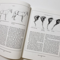 Horse Gaits, Balance and Movement by Susan E. Harris 1993 HC DJ