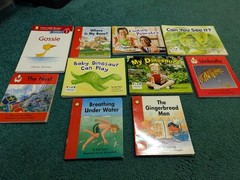 Lot Of 40 Early Emergent Readers Level 1-6 – 4 Of Each Title – Learning To Read!