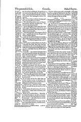 1560 &1599 Geneva Bible-Reformation Scripture CommentaryJohn Calvin & Beza-on CD