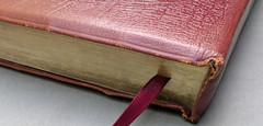 NEW SCOFIELD REFERENCE EDITION Red Cowhide Leather Bible KJV 1969 Oxford
