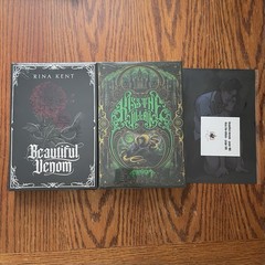 Books For Days Crate Rina Kent Kiss The Villain + Beautiful Venom